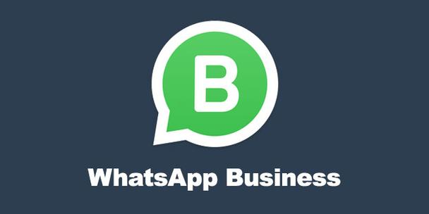 软件商店whatsapp下载安装