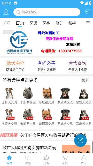 猛犬俱乐部