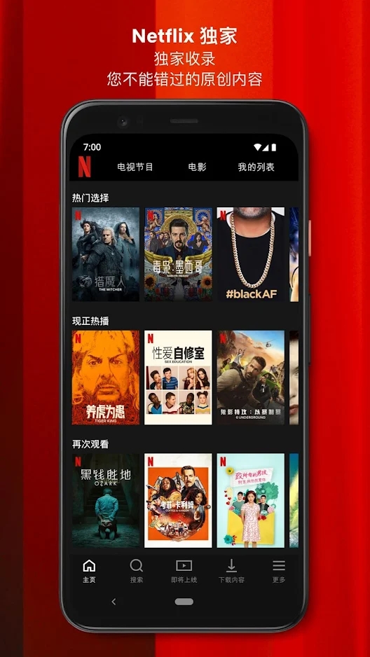 netflix电视版