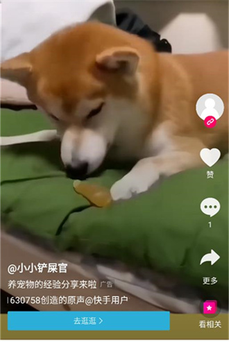 雨林影视