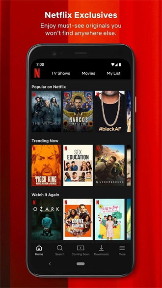 网飞netflix截图3