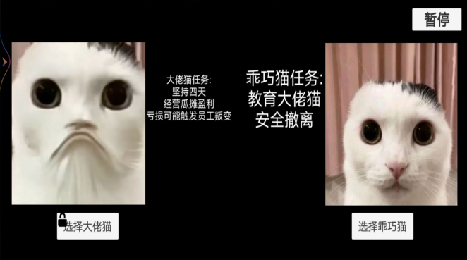 猫猫惊魂夜