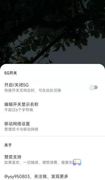 miui状态栏5g开关