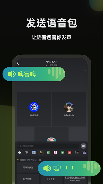 黑盒语音截图1