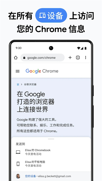 谷歌chrome浏览器