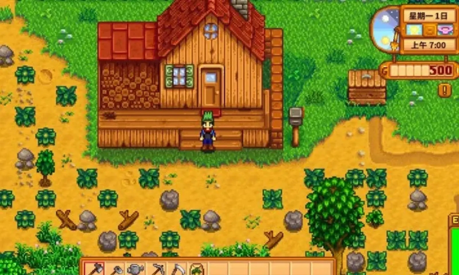 Stardew valley