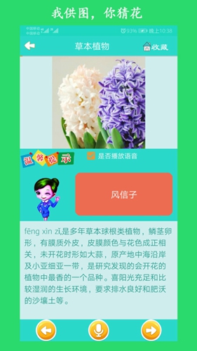 看图识花app3