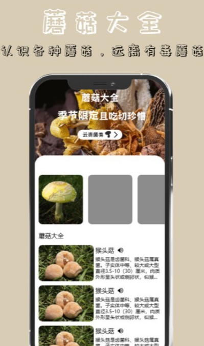 蘑菇识别高手app免费版