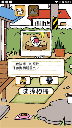 猫咪后院安卓中文