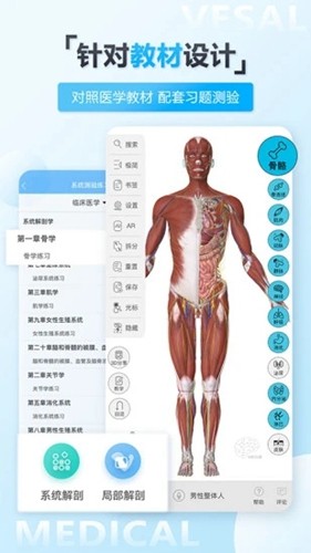 维萨里3D解剖