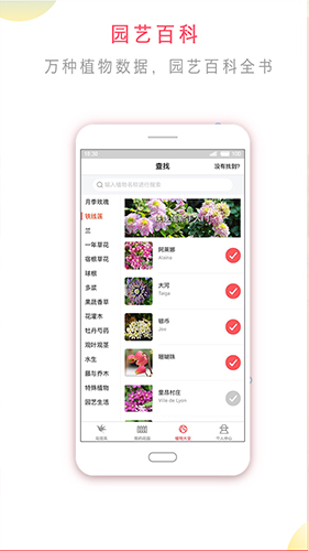 花信app