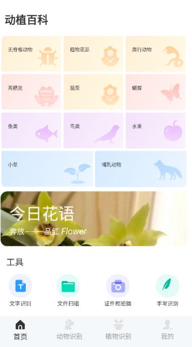 动物百科app