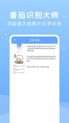 番茄识别大师v1.0