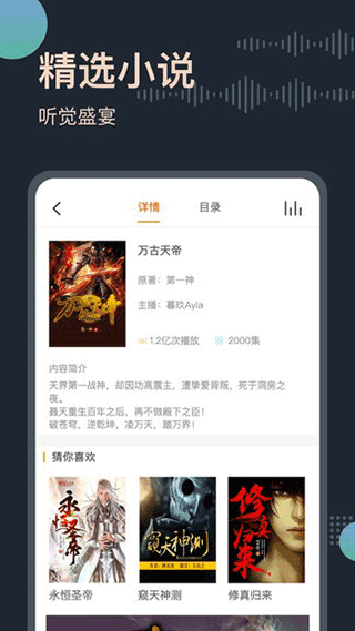 恋听网app