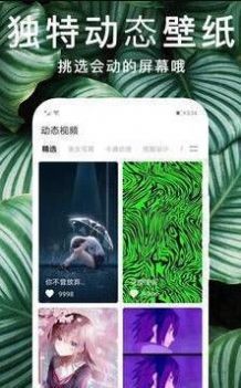 主题动态壁纸免费版