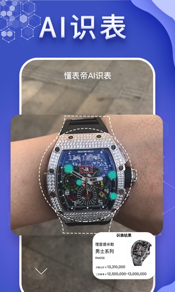 懂表帝ai识表app