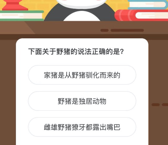 下面关于野猪的说法正确的是？微博森林驿站4月12日今日答题答案