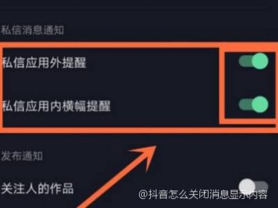 抖音怎么关闭聊天信息显示内容