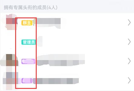 qq群头衔设置颜色教程