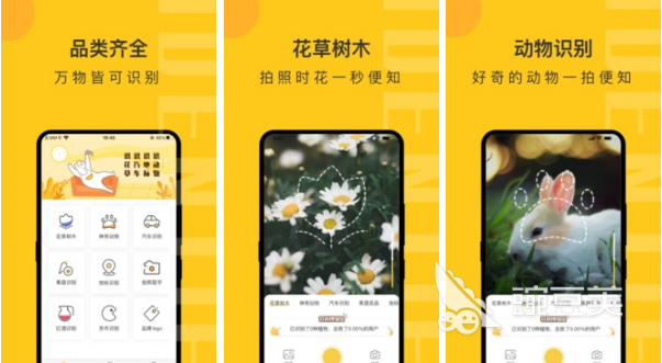 2022拍照识鸟app有哪些 好用的拍照识鸟app推荐