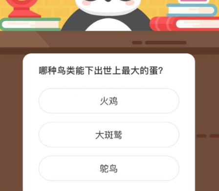 哪种鸟类能下出世上最大的蛋？微博森林驿站2月26日今日答题答案