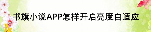 书旗小说在什么地方设置亮度自适应