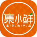 集小鲜app官方手机版