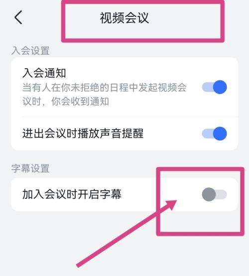 飞书怎么开启视频会议字幕