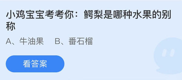 蚂蚁庄园：鳄梨是哪种水果的别称