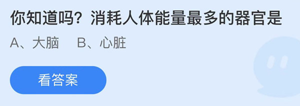 蚂蚁庄园：你知道吗消耗人体能量最多的器官是