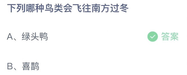 蚂蚁庄园:以下哪种鸟会飞往南方过冬