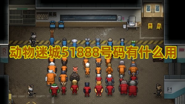 动物迷城51888号码有什么用