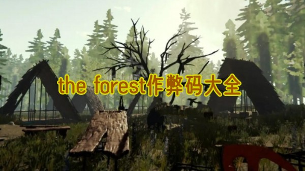 the forest作弊码大全