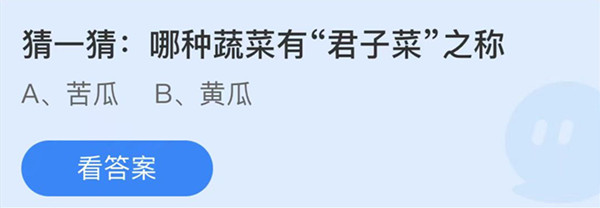 中国最北城市漠河迎来第35个北极光节