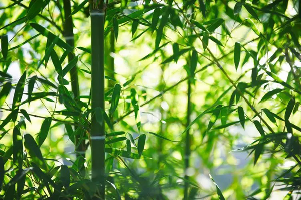 前5月中国国家铁路发送货物16.41亿吨 同比增长3.1%