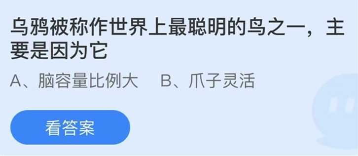 化解字幕下载难题 揭秘开博尔4K蓝光机在线字幕下载