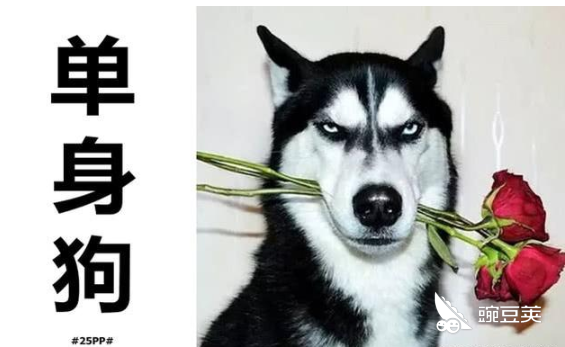 一起来捉妖情人节活动，520猫你不想要吗？