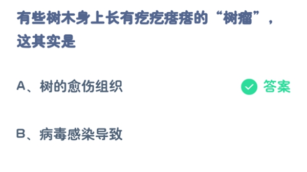 简单装修注意事项解析 简单装修多少钱介绍