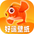 好运壁纸app官方版