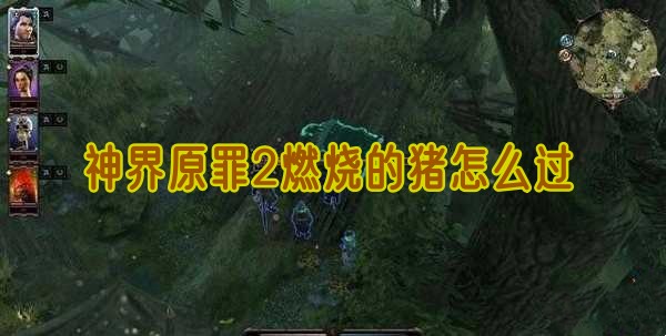 神界原罪2燃烧的猪怎么过